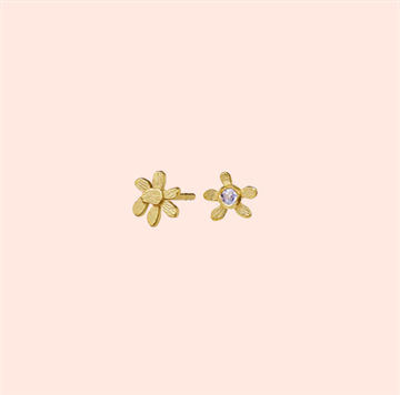 Maanesten - Mynte Earrings Forgyldt 