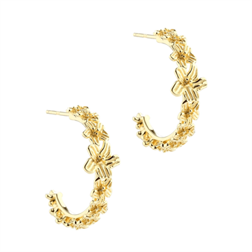 Aqua Dulce - Jasmin Big Hoops