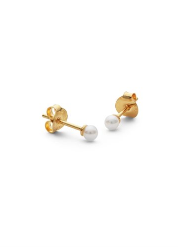 ByBiehl - Pearl Studs - Forgyldt Sølv